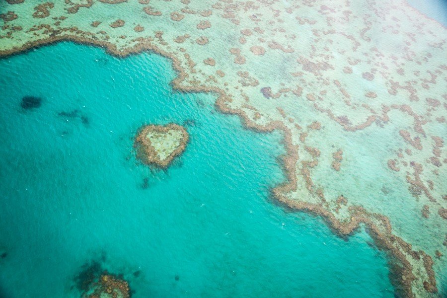 Das berühmte Herz Riff im Great Barrier Reef