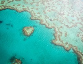 Herz Great Barrier Reef