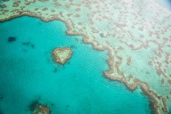 Herz Great Barrier Reef