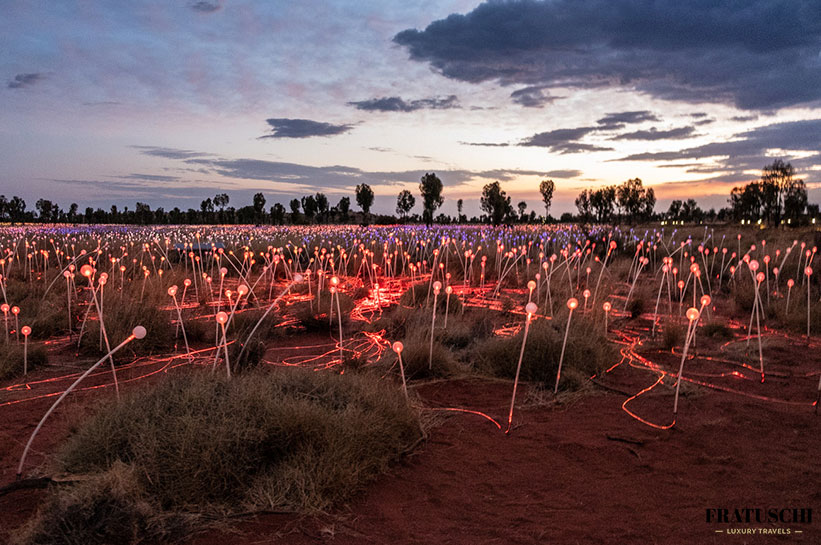 Outback in der Dämmerung Field of Light