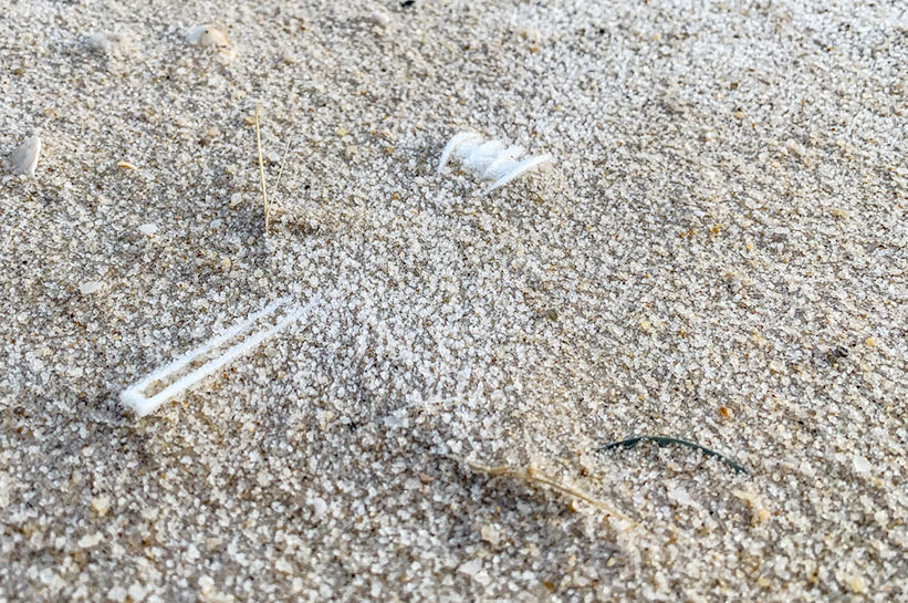 Plastikgabel am Strand