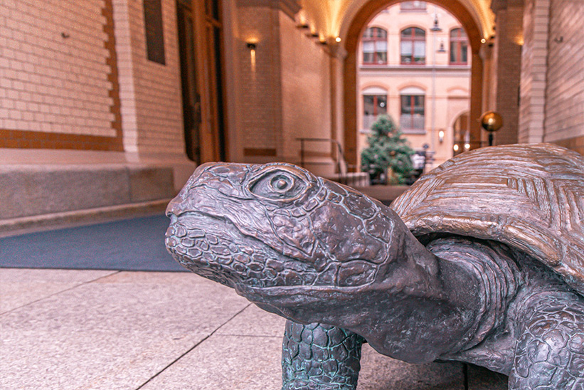Besondere Hotels Hamburg Tortue Schildkröte im Eingang